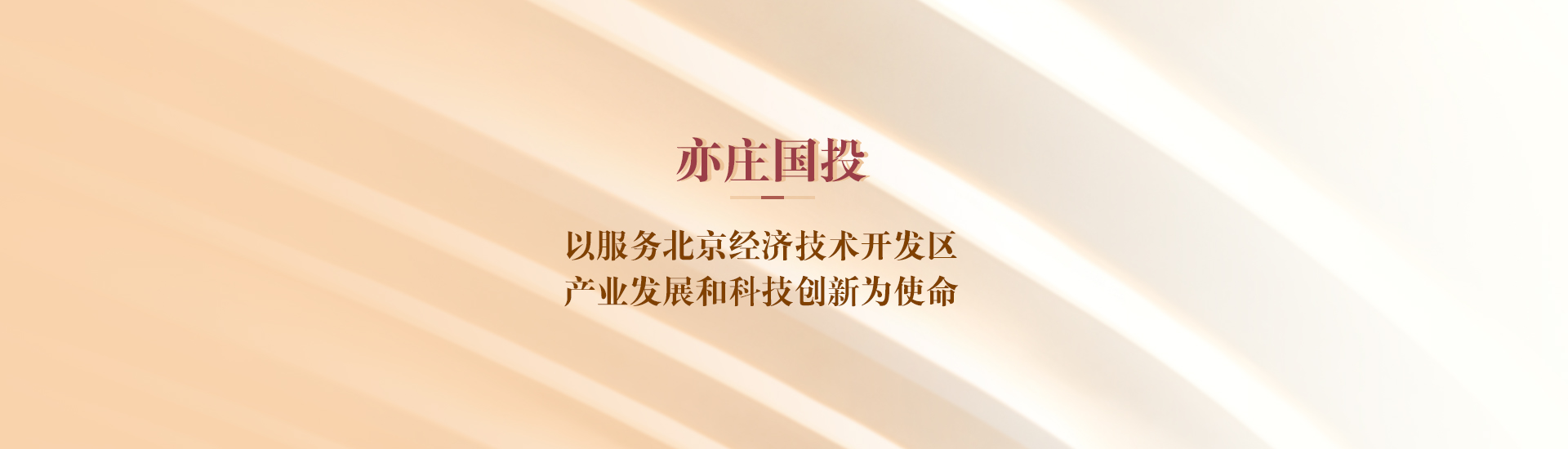 公司簡介